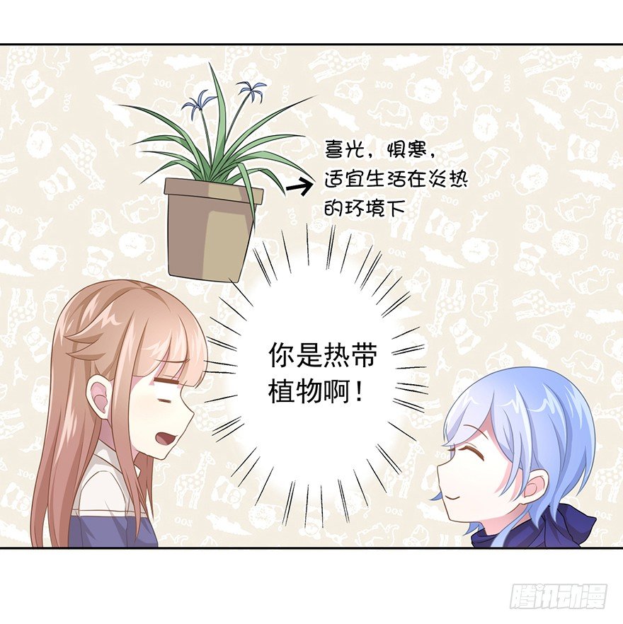 50 又要打boss了！-第53话