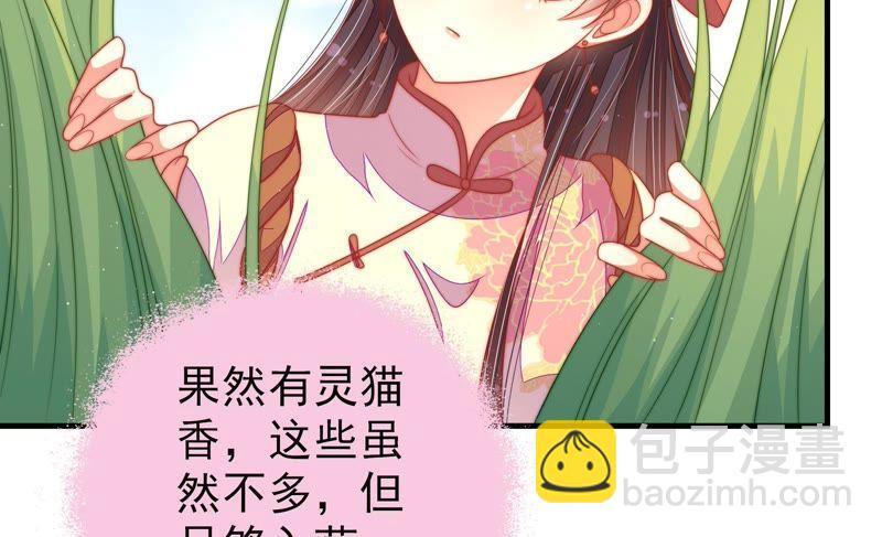 🍱少帅每天都在吃醋 第121话 抢夺 第24页