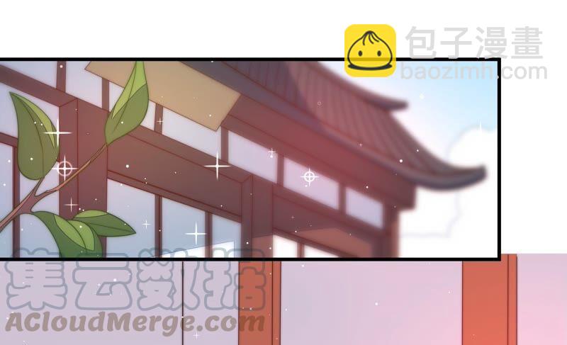 🍱少帅每天都在吃醋 第193话 生辰 第43页