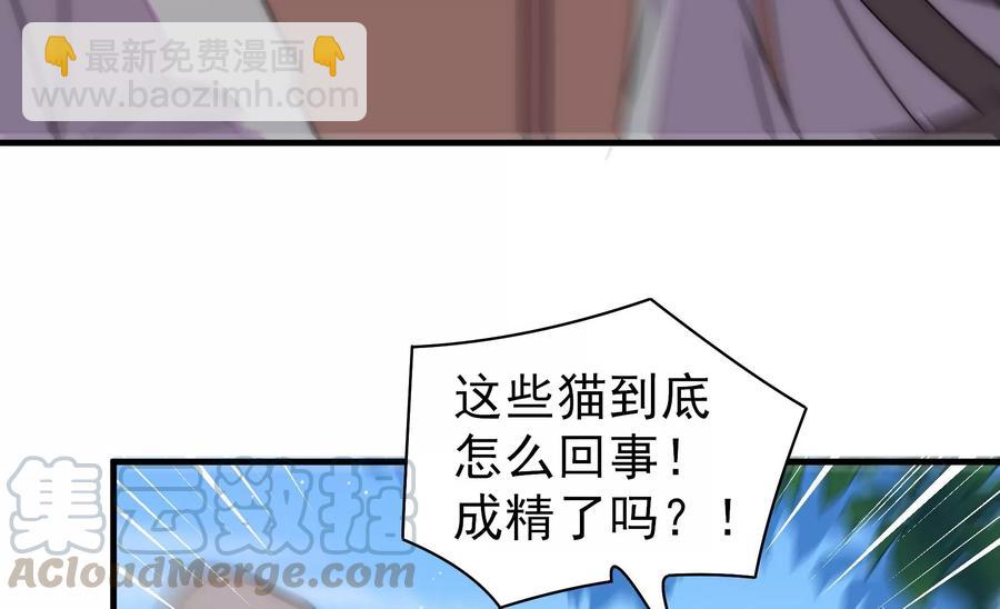 🍱少帅每天都在吃醋 第229话 冷秋霜 第49页