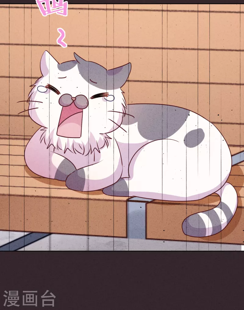 第140话 圈养的小猫-第147话
