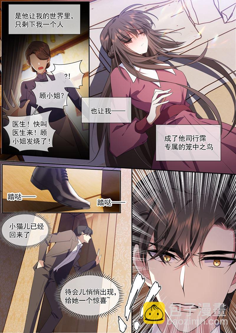 🍱少帅你老婆又跑了 只剩下我一个人 第3页
