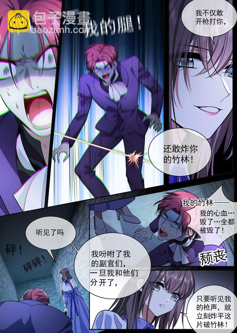 🍱少帅你老婆又跑了 炸平这片破竹林 第8页
