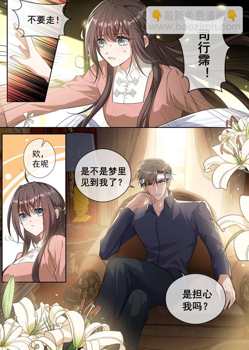 🍱少帅你老婆又跑了 那不是意外 第2页