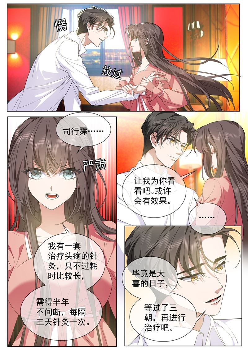 🍱少帅你老婆又跑了 老宅的梅花树下 第1页