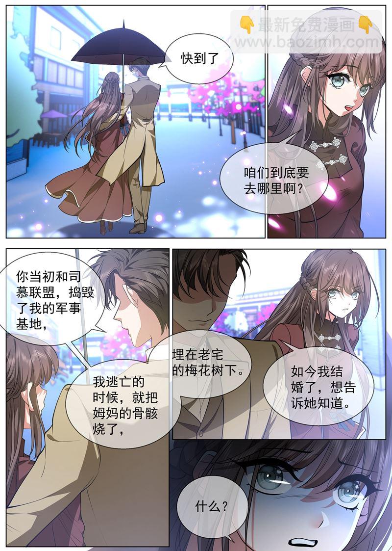 🍱少帅你老婆又跑了 老宅的梅花树下 第4页