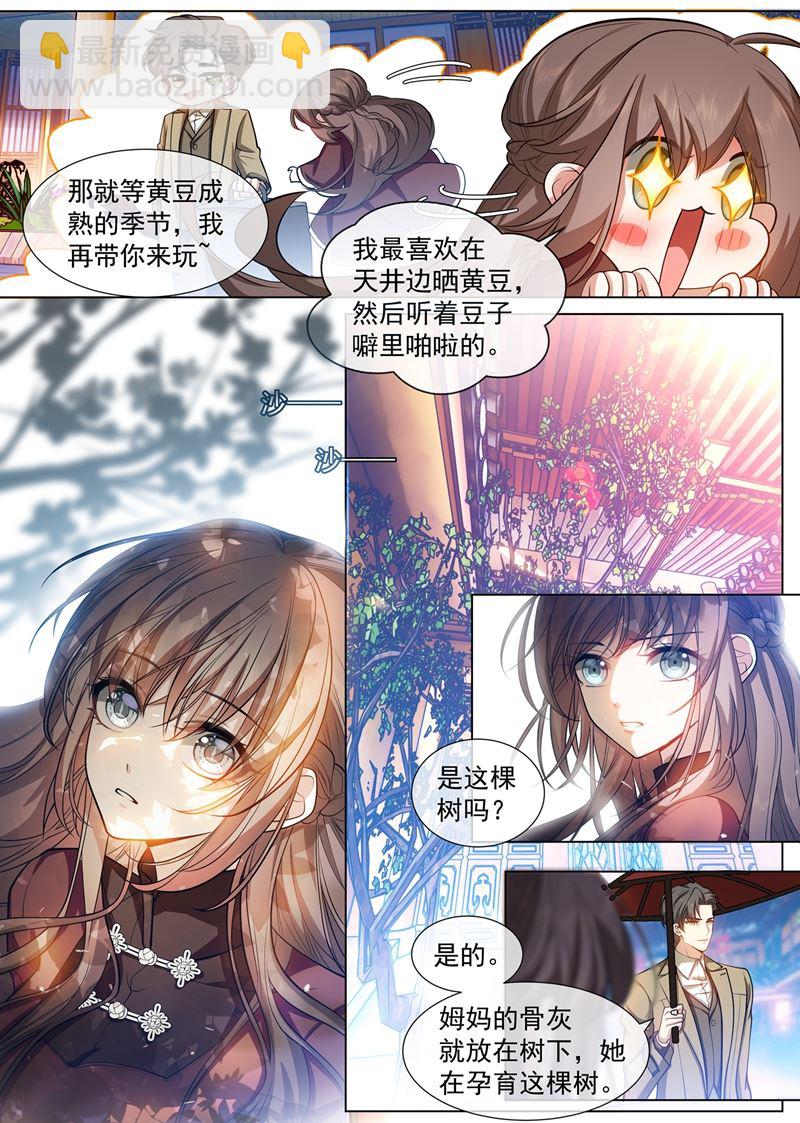 🍱少帅你老婆又跑了 老宅的梅花树下 第8页