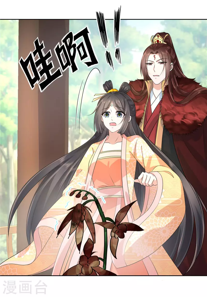 第31话 这算定情信物吗？-第33话