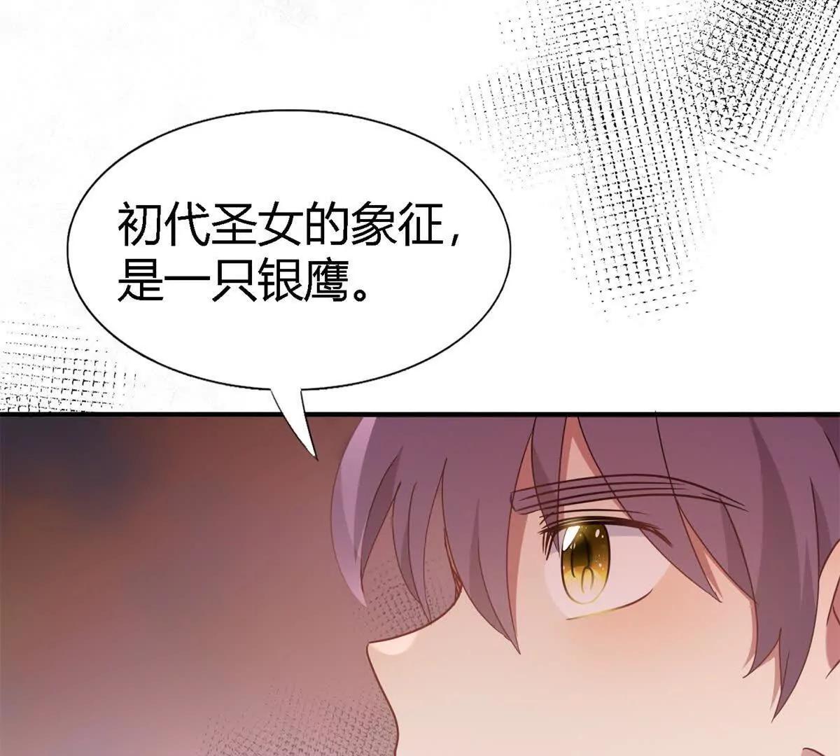 第166话 圣女的象征（下）(1/2)-第167话