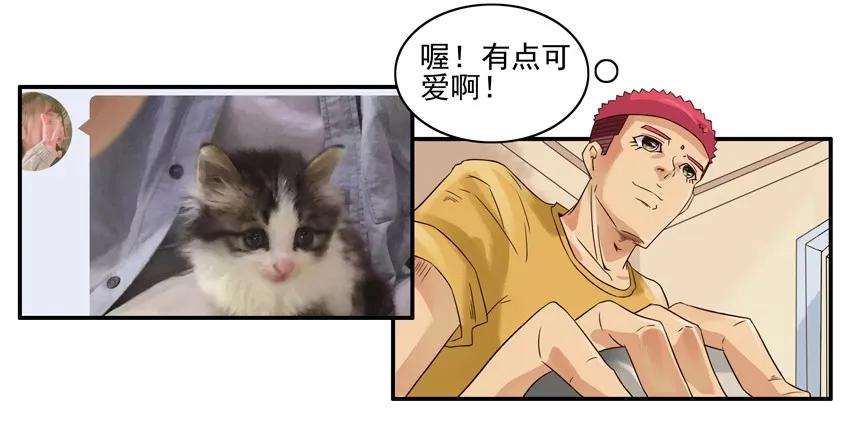 🍱殺手古德 1388 羁绊 第6页