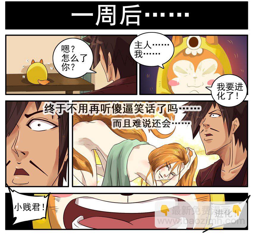 🍱殺手古德 433 小贱君 第5页