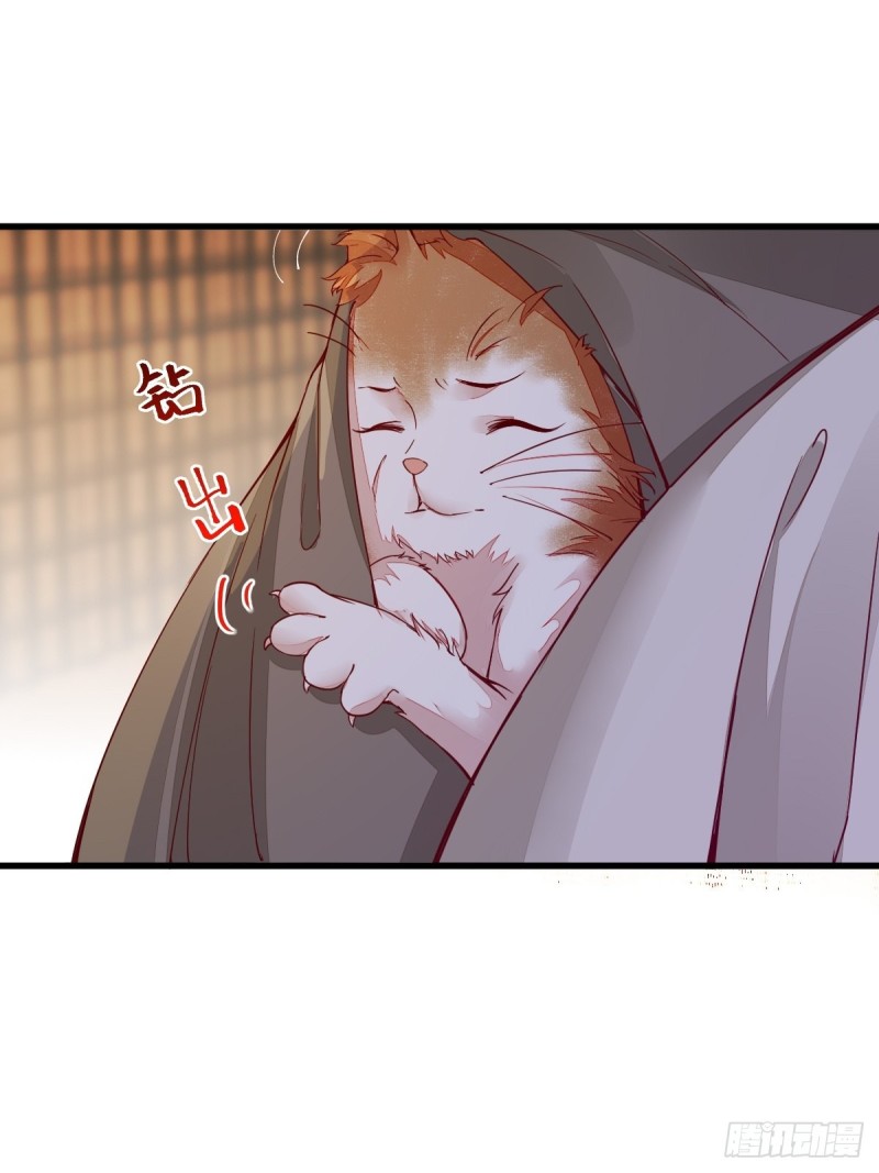 31-情深-第33话