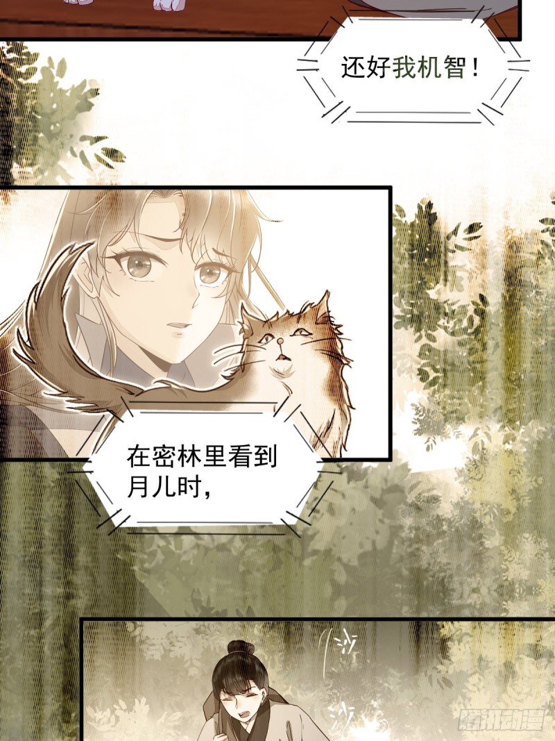 31-情深-第33话