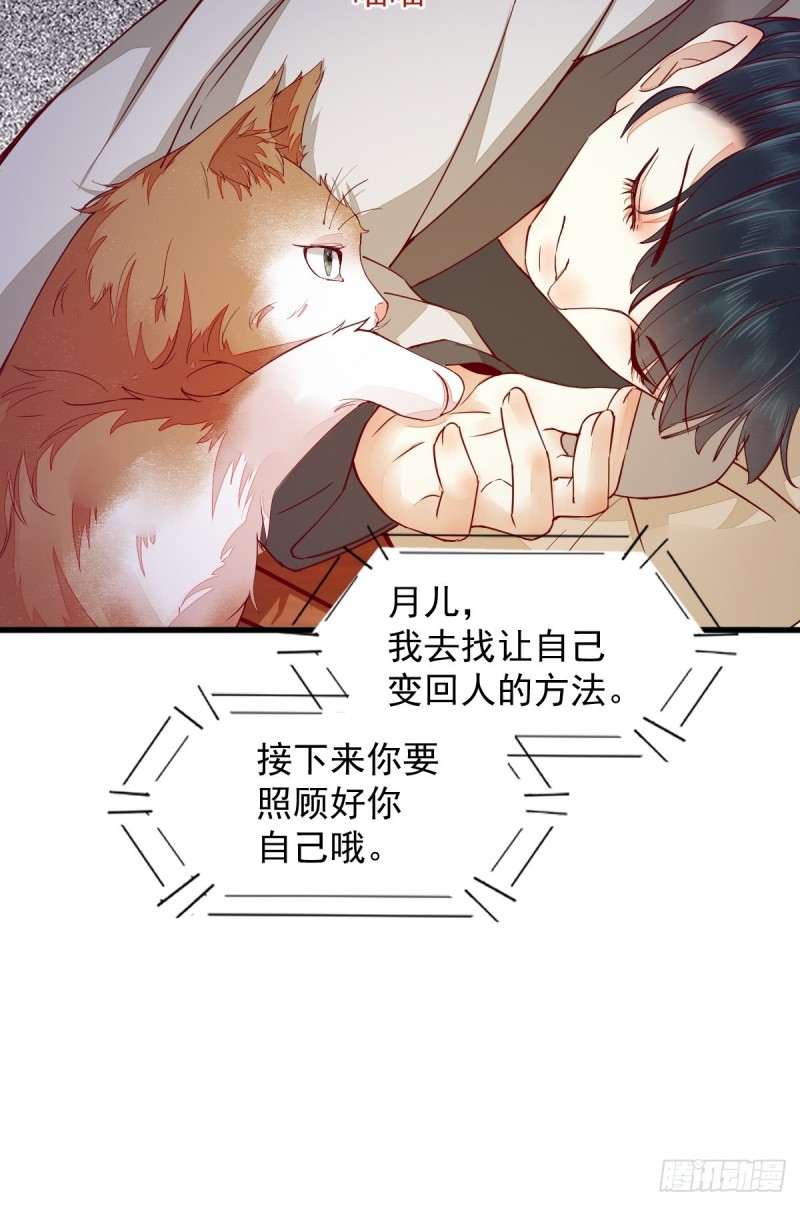 31-情深-第33话
