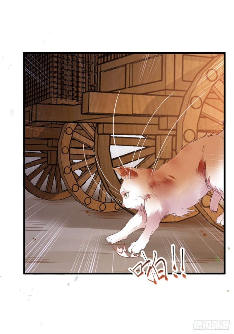 31-情深-第33话