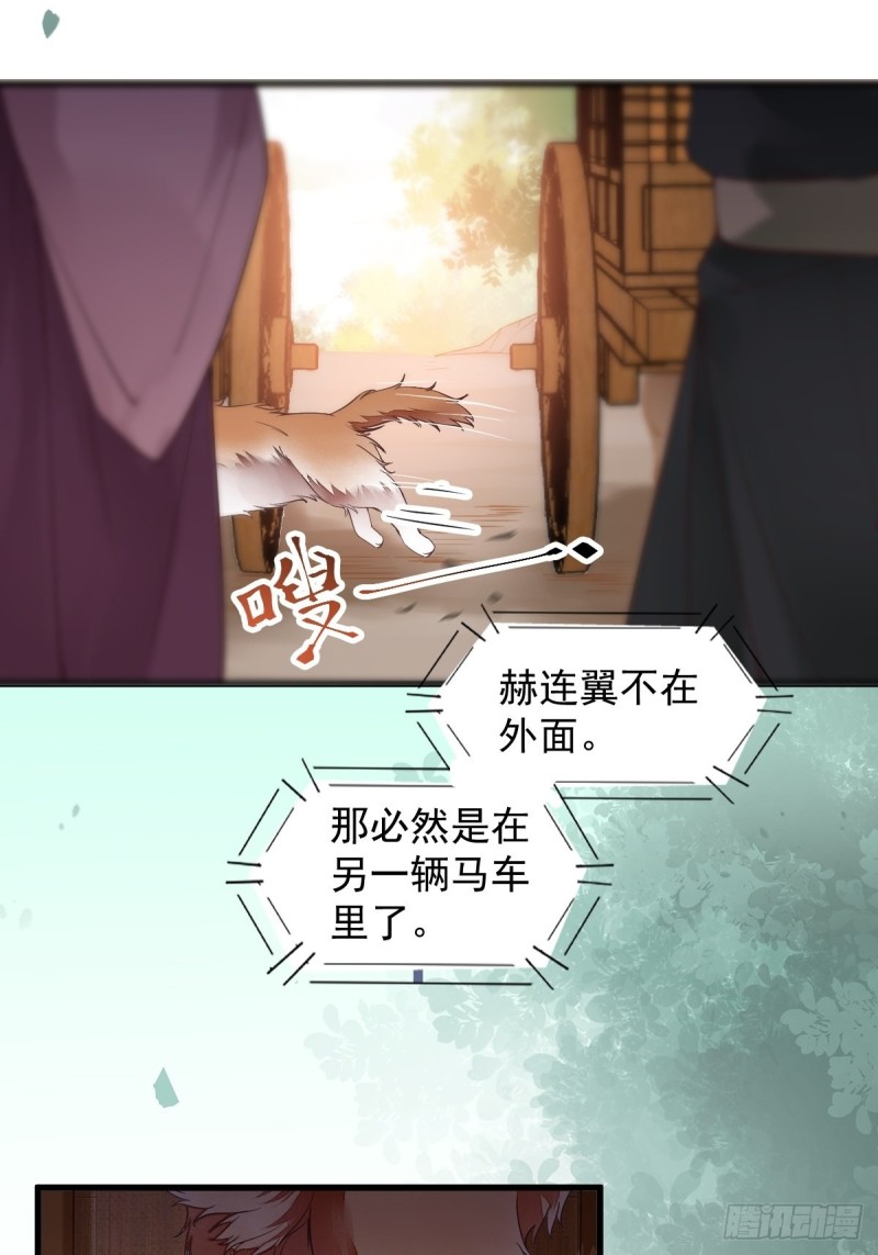 31-情深-第33话
