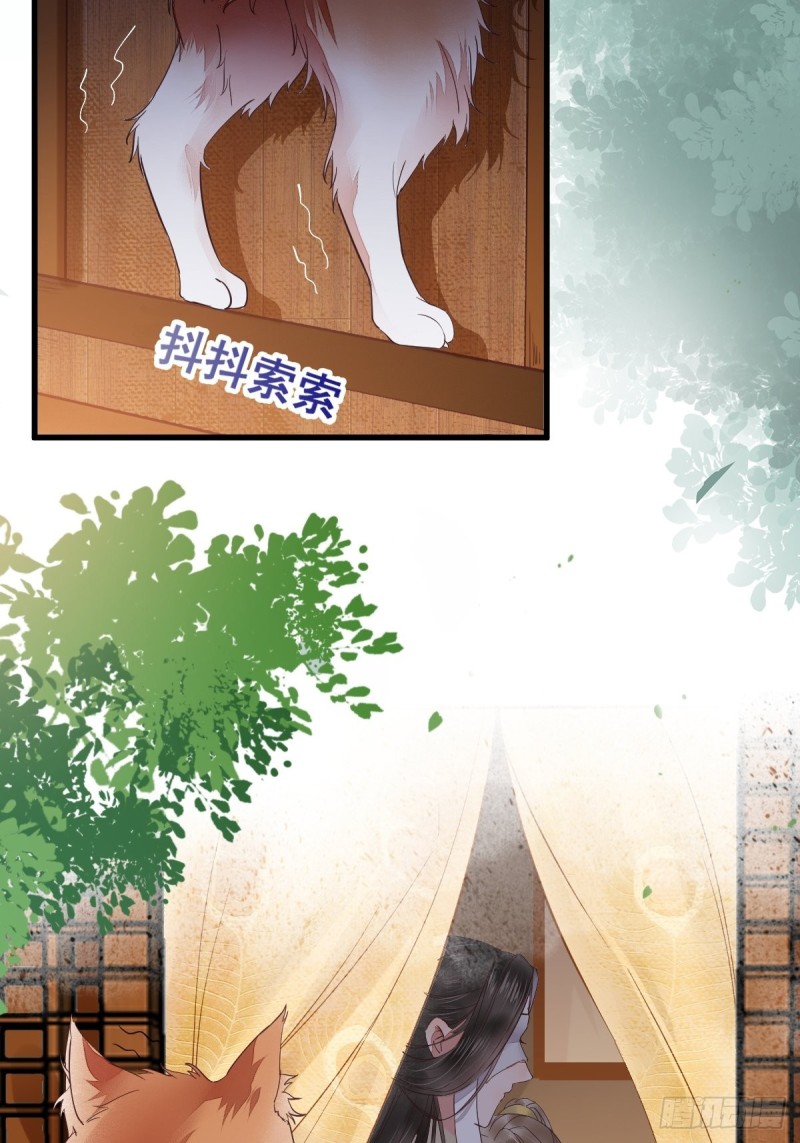 31-情深-第33话