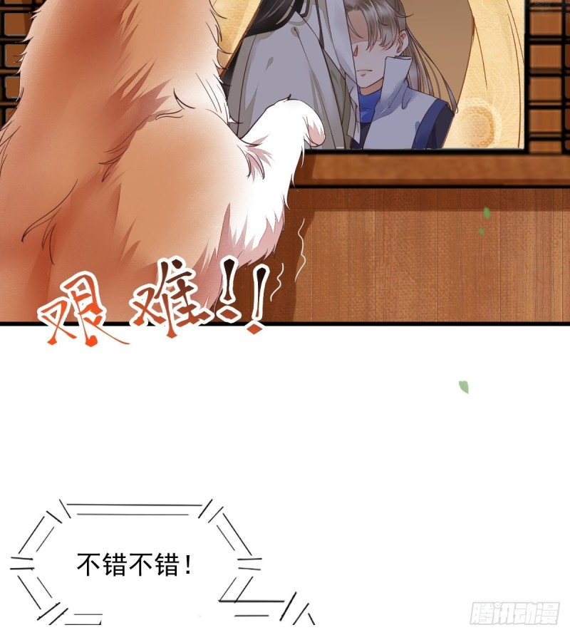 31-情深-第33话