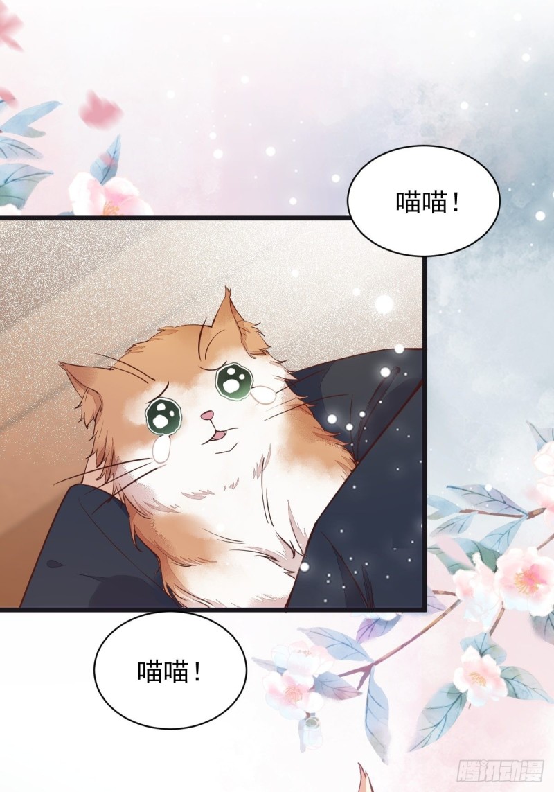 33-护驾-第35话