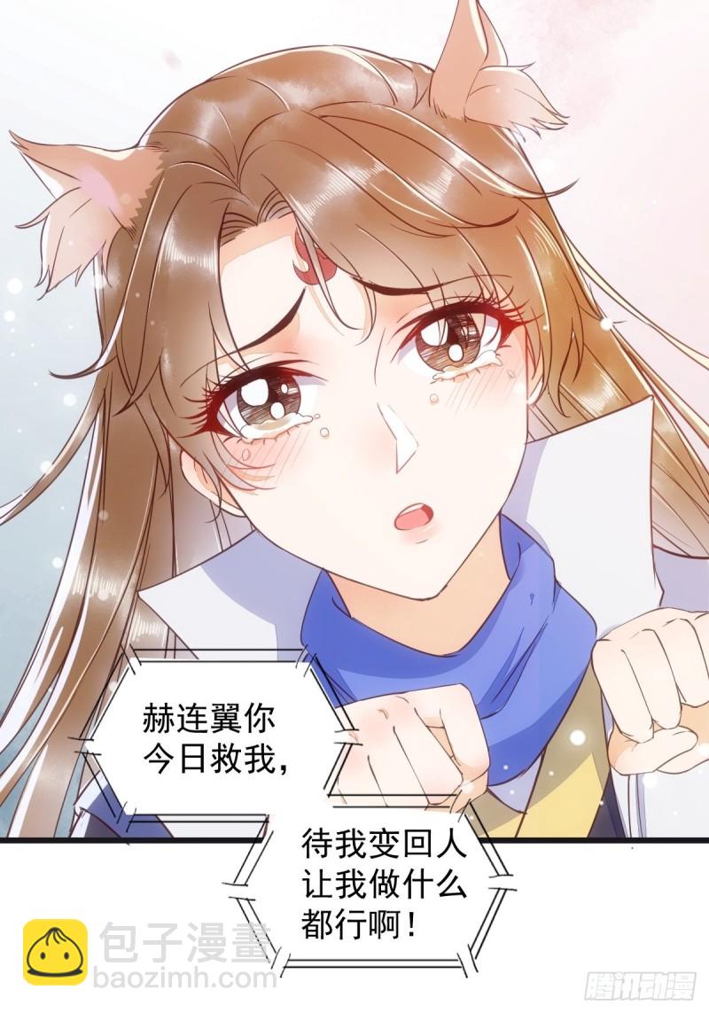 33-护驾-第35话