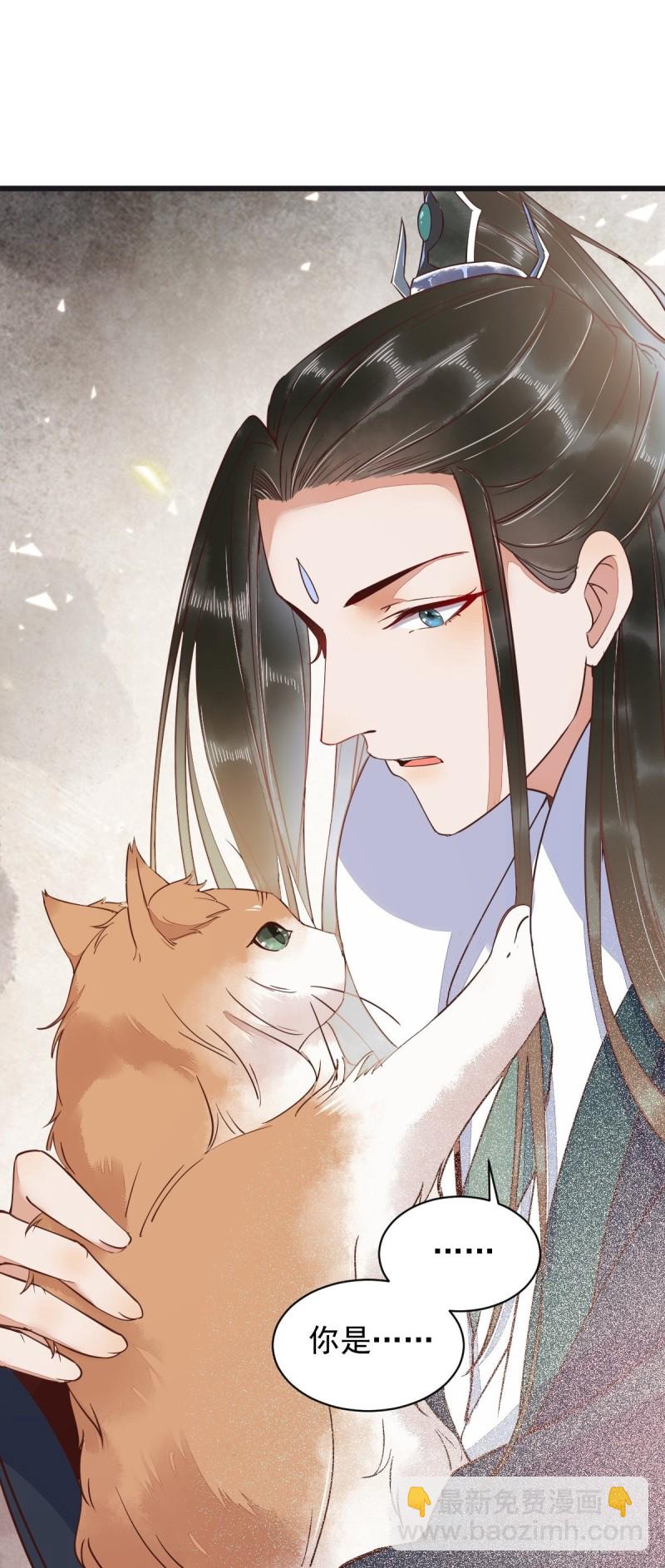 33-护驾-第35话