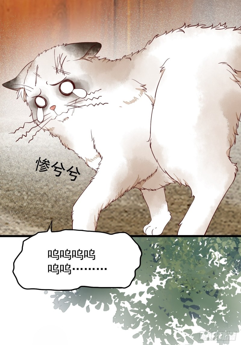 35-寻找肉身-第37话