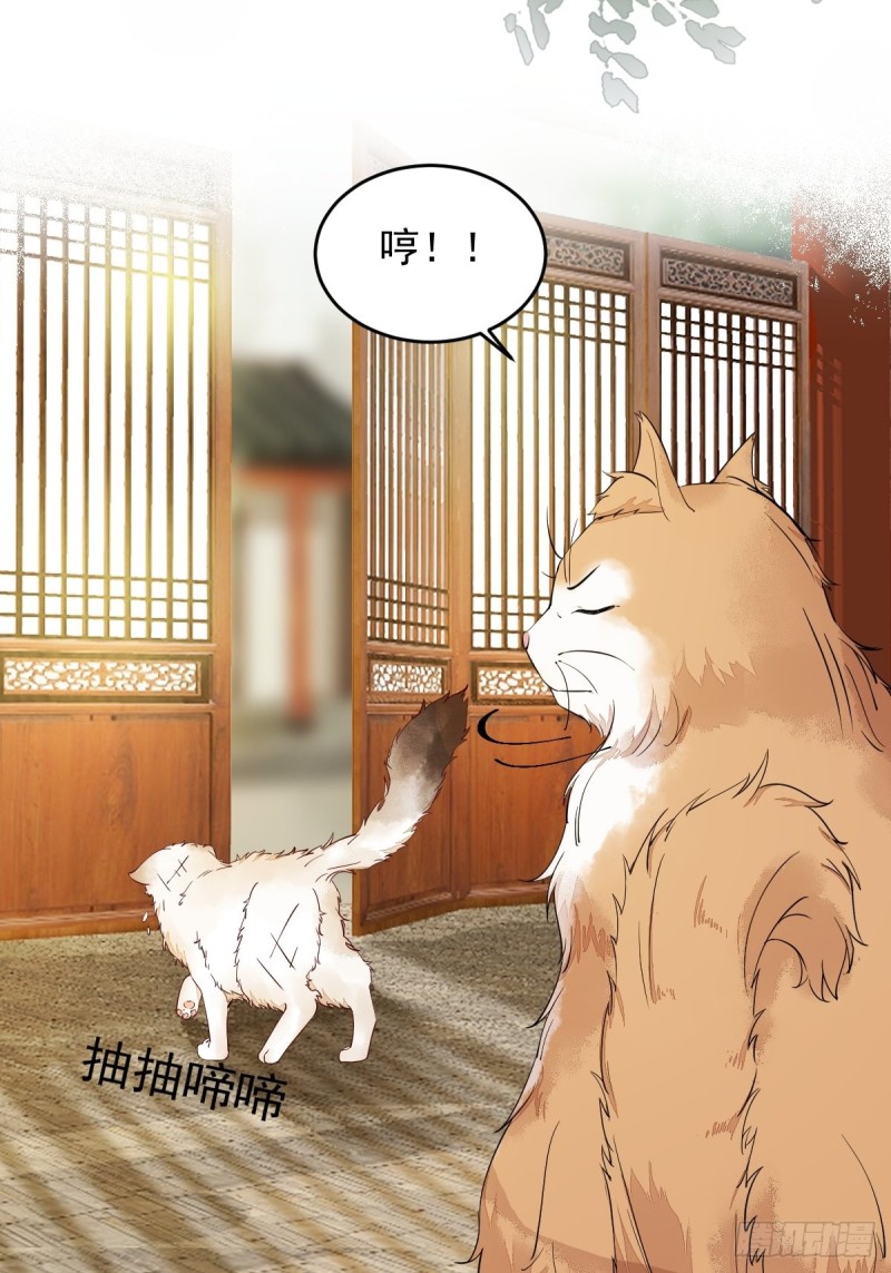 35-寻找肉身-第37话