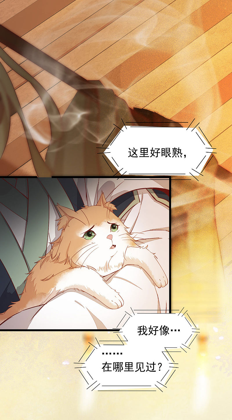 47-前世记忆重叠-第51话