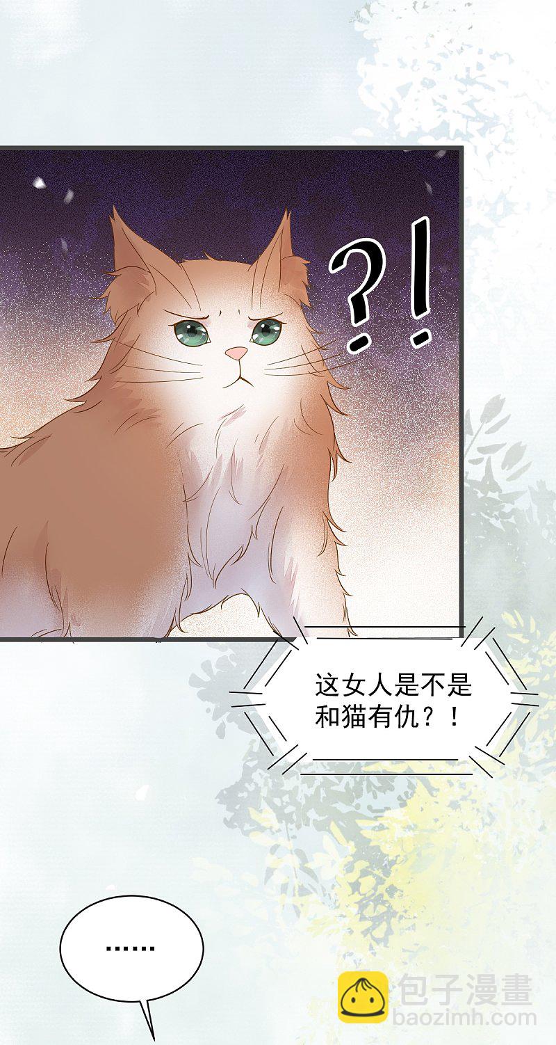 49-pua式疯母-第53话