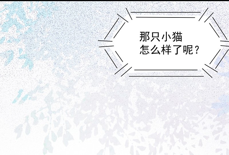 49-pua式疯母-第53话