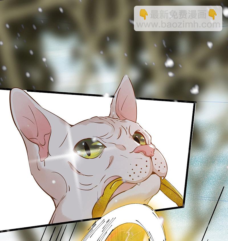 57-她是我的猫-第61话