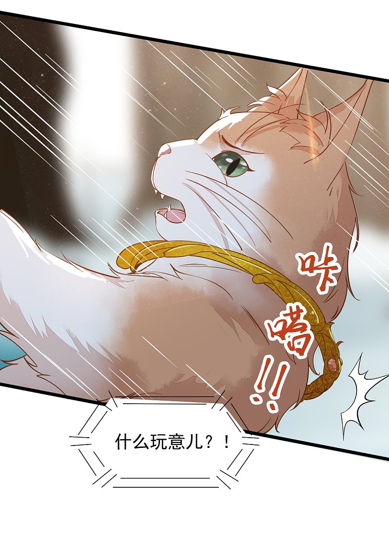 57-她是我的猫-第61话