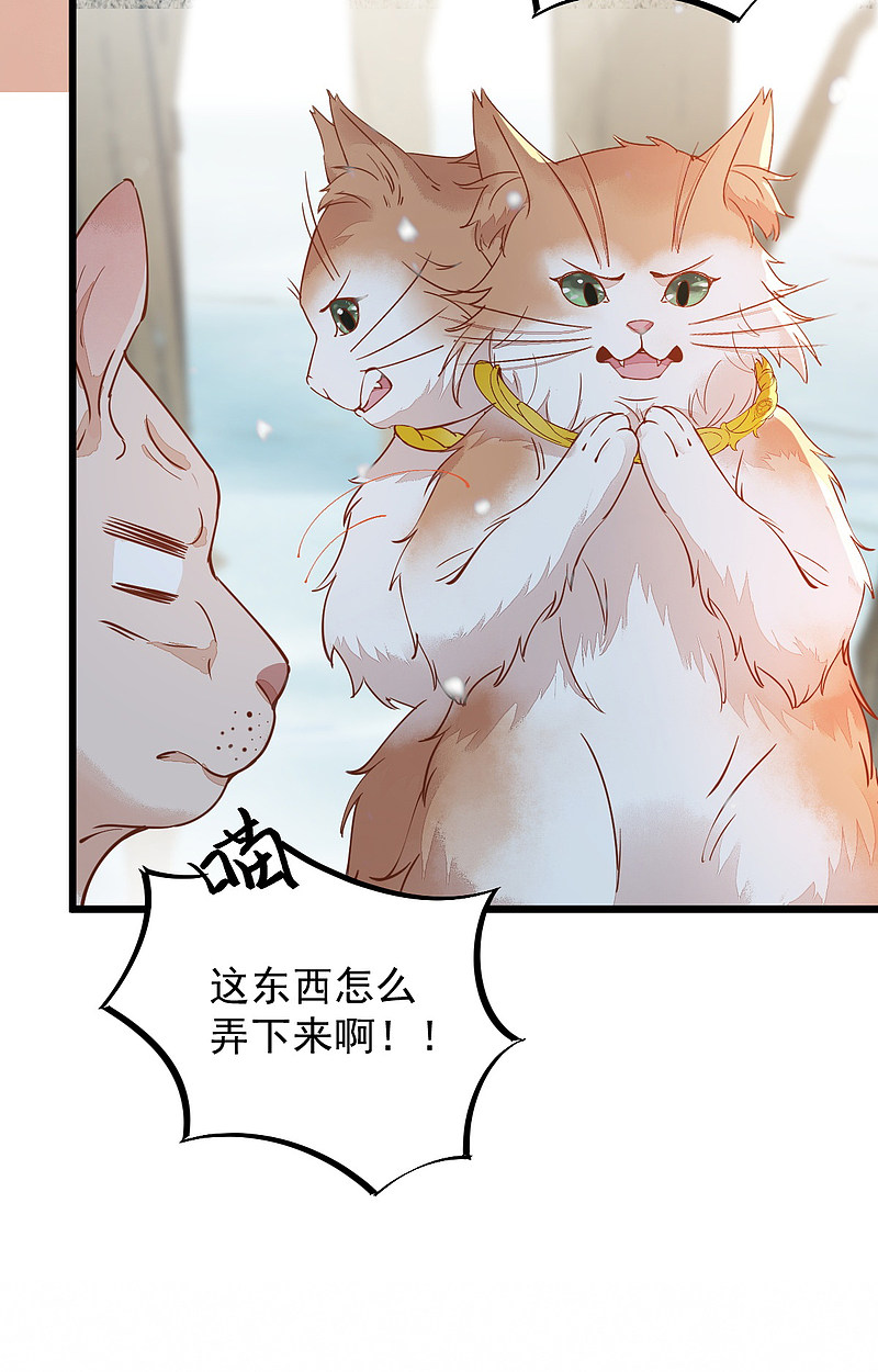 57-她是我的猫-第61话