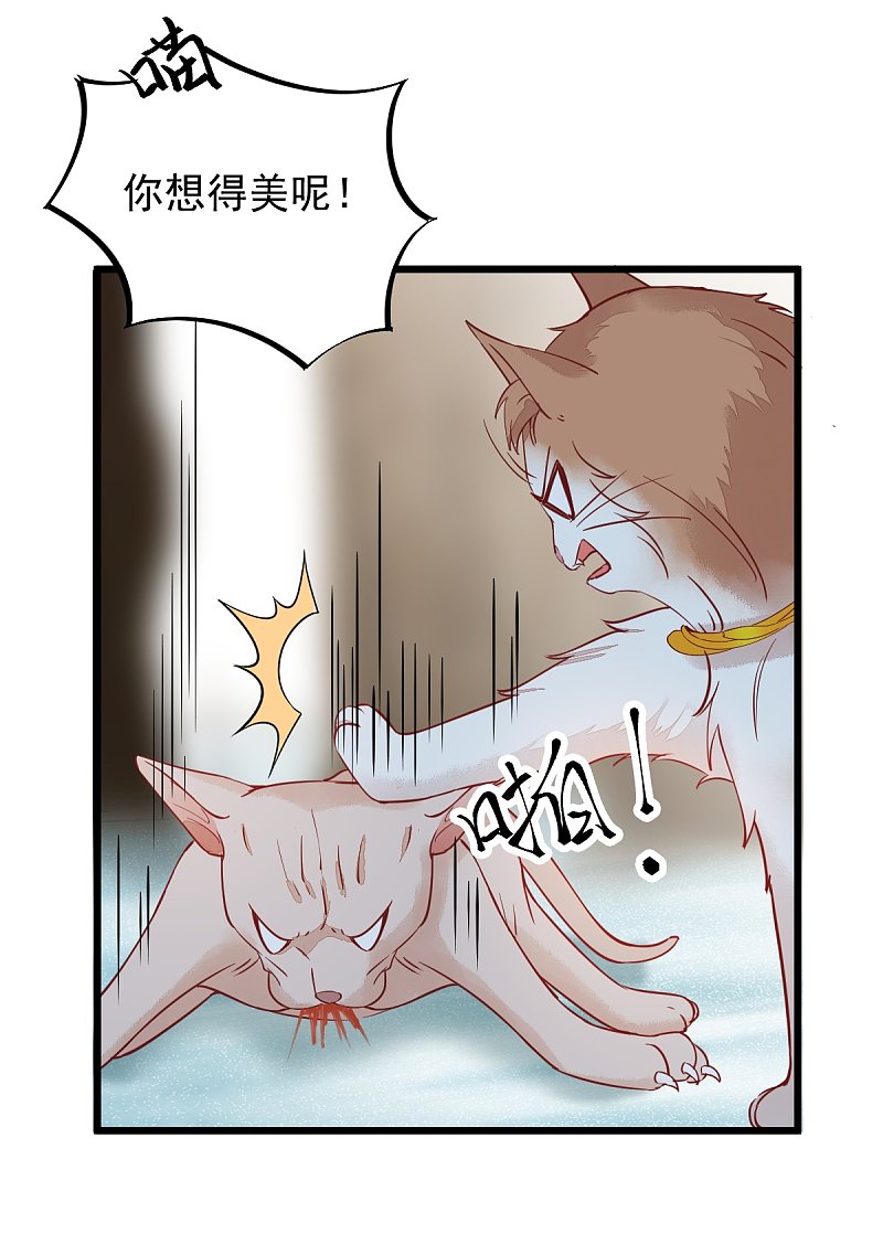 57-她是我的猫-第61话