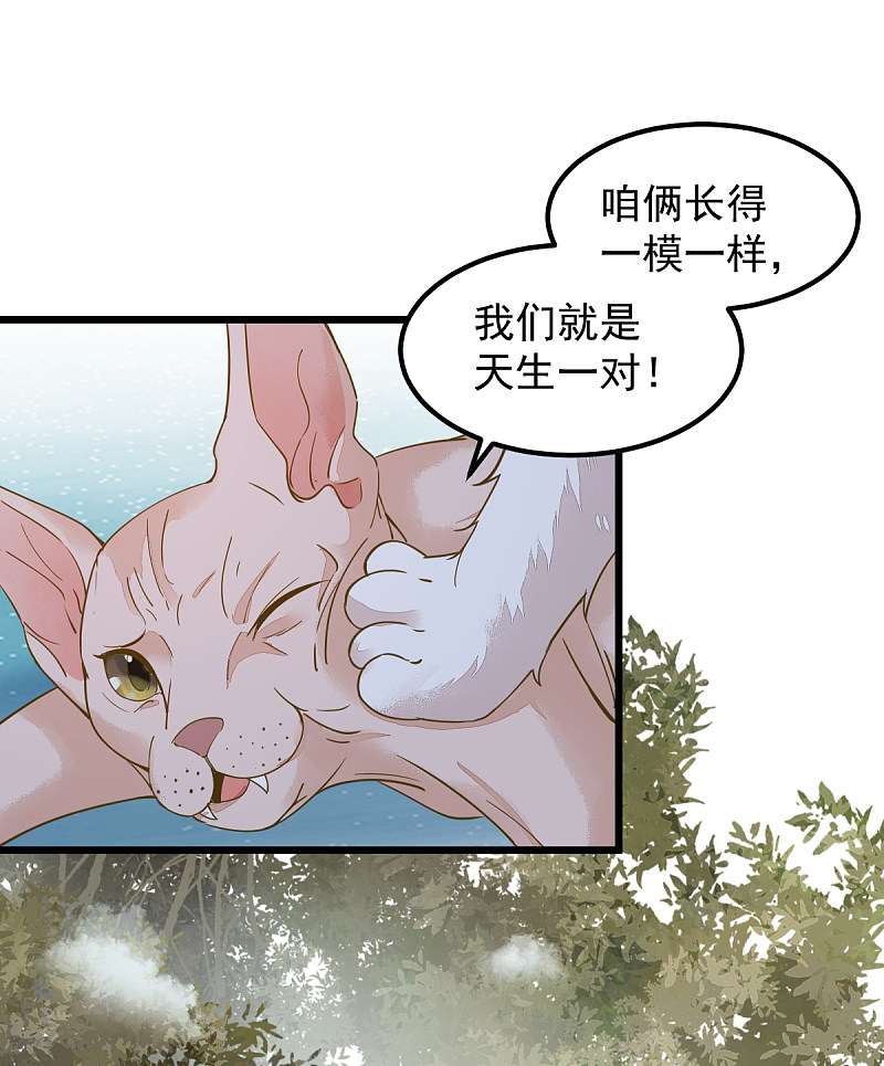 57-她是我的猫-第61话