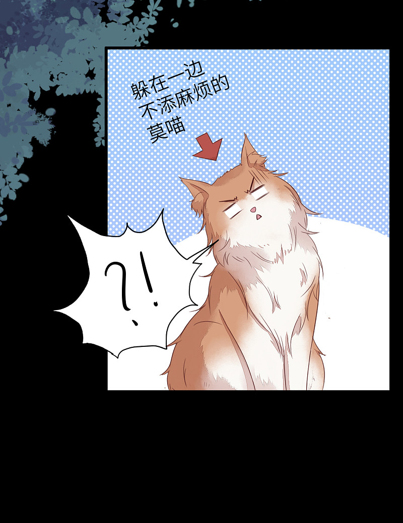 63-莫喵终于要变回人形了-第67话