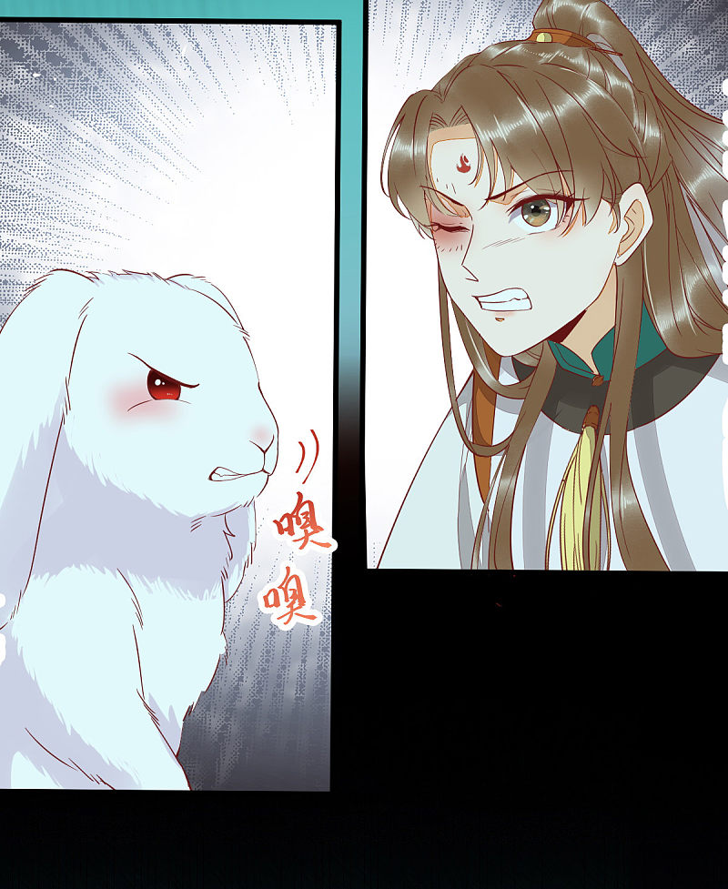 69-被萌兔叽KO-第73话