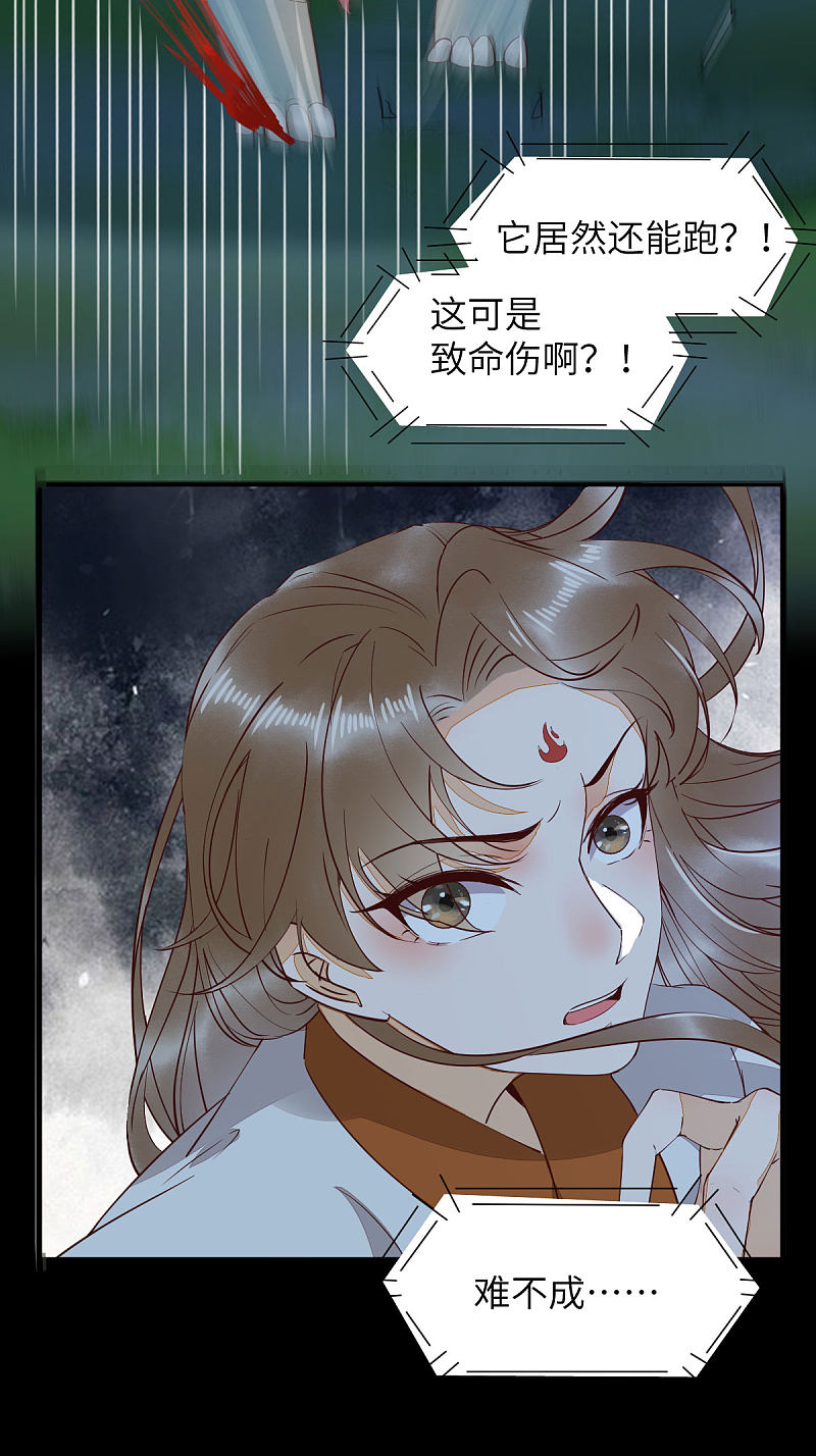 73-死亡林一战显身手-第77话