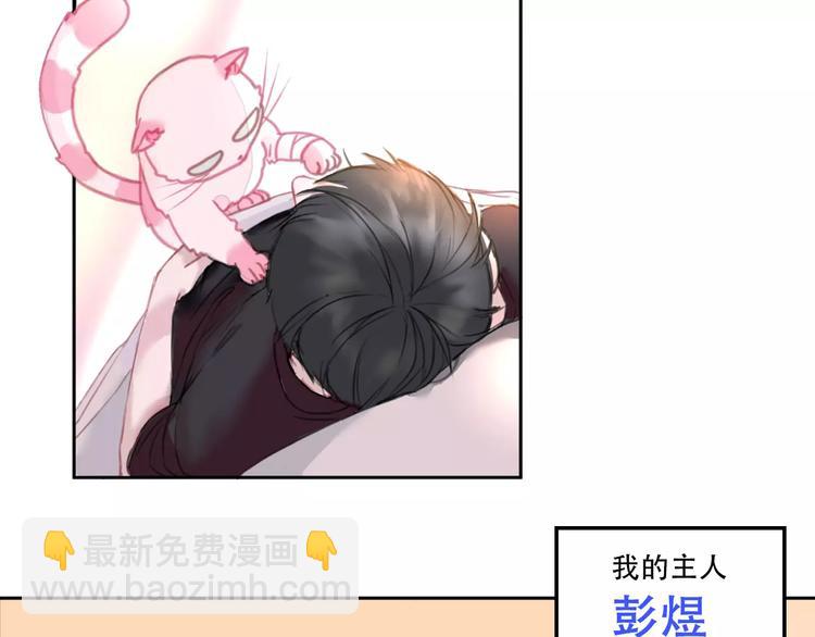 序章 我的宠物是人类（喵~）(1/2)-第1话