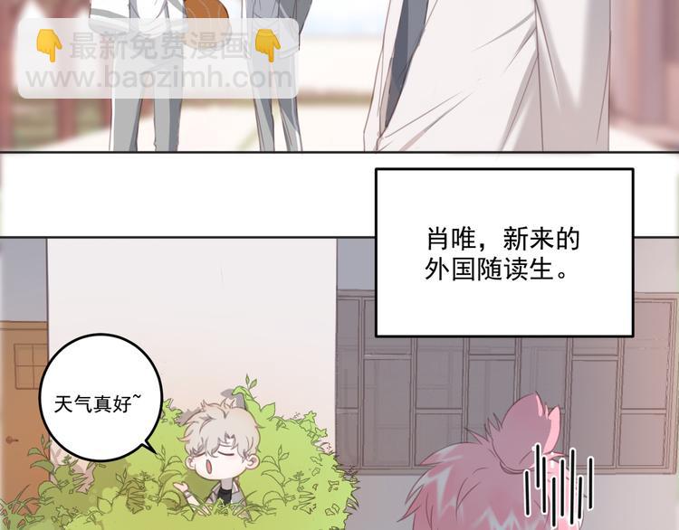 第11话 我的猫耳？！(1/2)-第11话