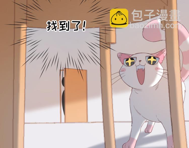 第13话 猫主人何在！(1/2)-第13话