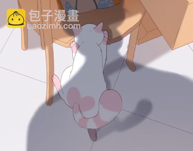 第13话 猫主人何在！(1/2)-第13话