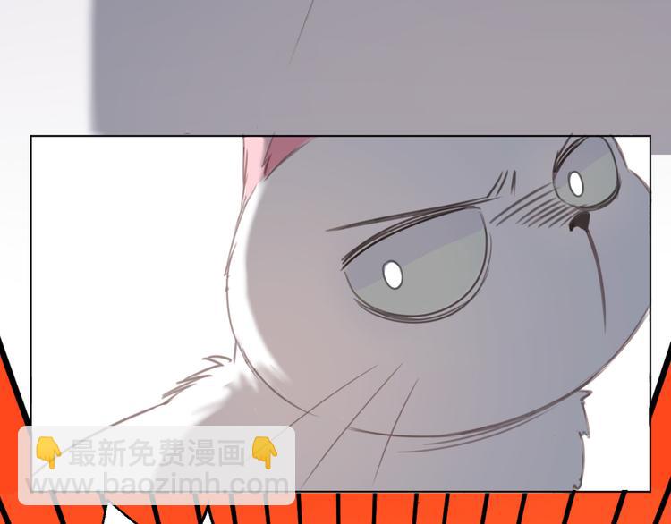第13话 猫主人何在！(1/2)-第13话