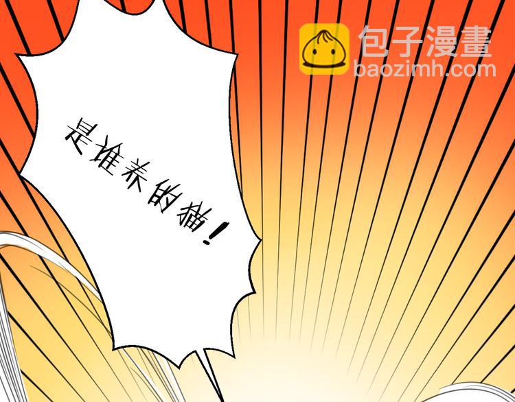 第13话 猫主人何在！(1/2)-第13话