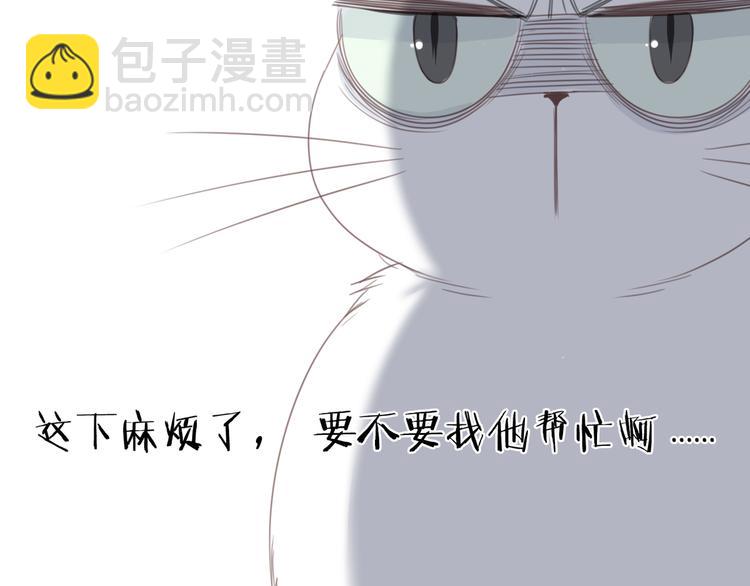 第13话 猫主人何在！(1/2)-第13话