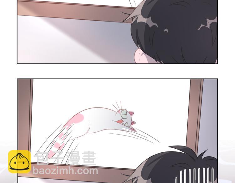 第13话 猫主人何在！(1/2)-第13话
