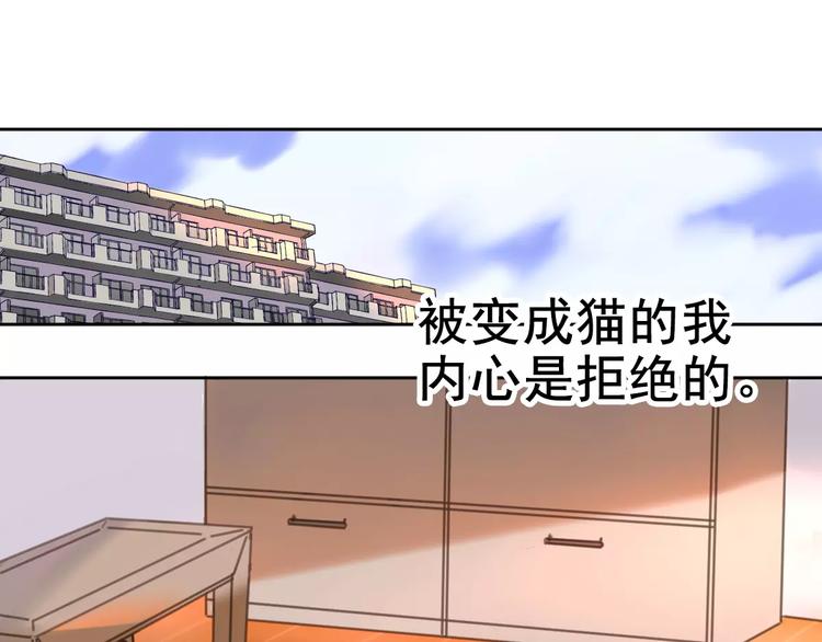 第2+3话 猫奴主人的甜蜜陷阱(1/4)-第3话