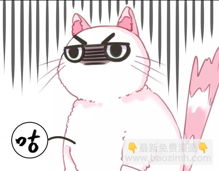 第2+3话 猫奴主人的甜蜜陷阱(1/4)-第3话