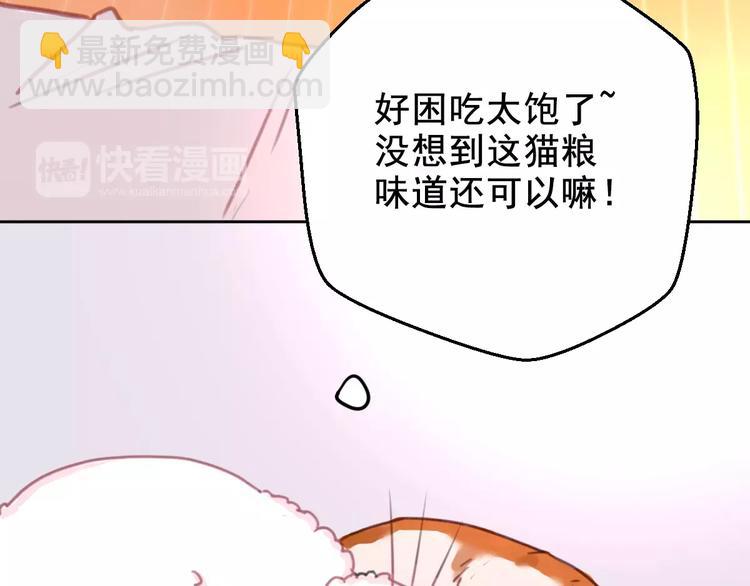第2+3话 猫奴主人的甜蜜陷阱(1/4)-第3话