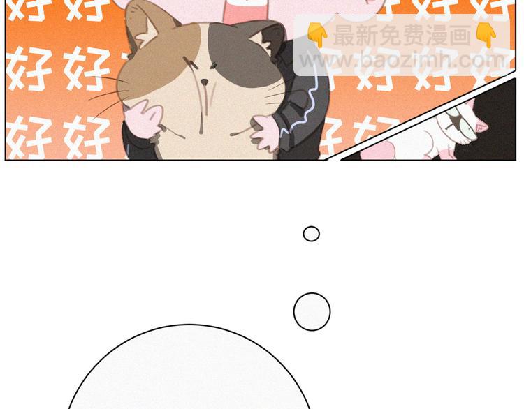 第34话 与猫争宠(1/2)-第35话